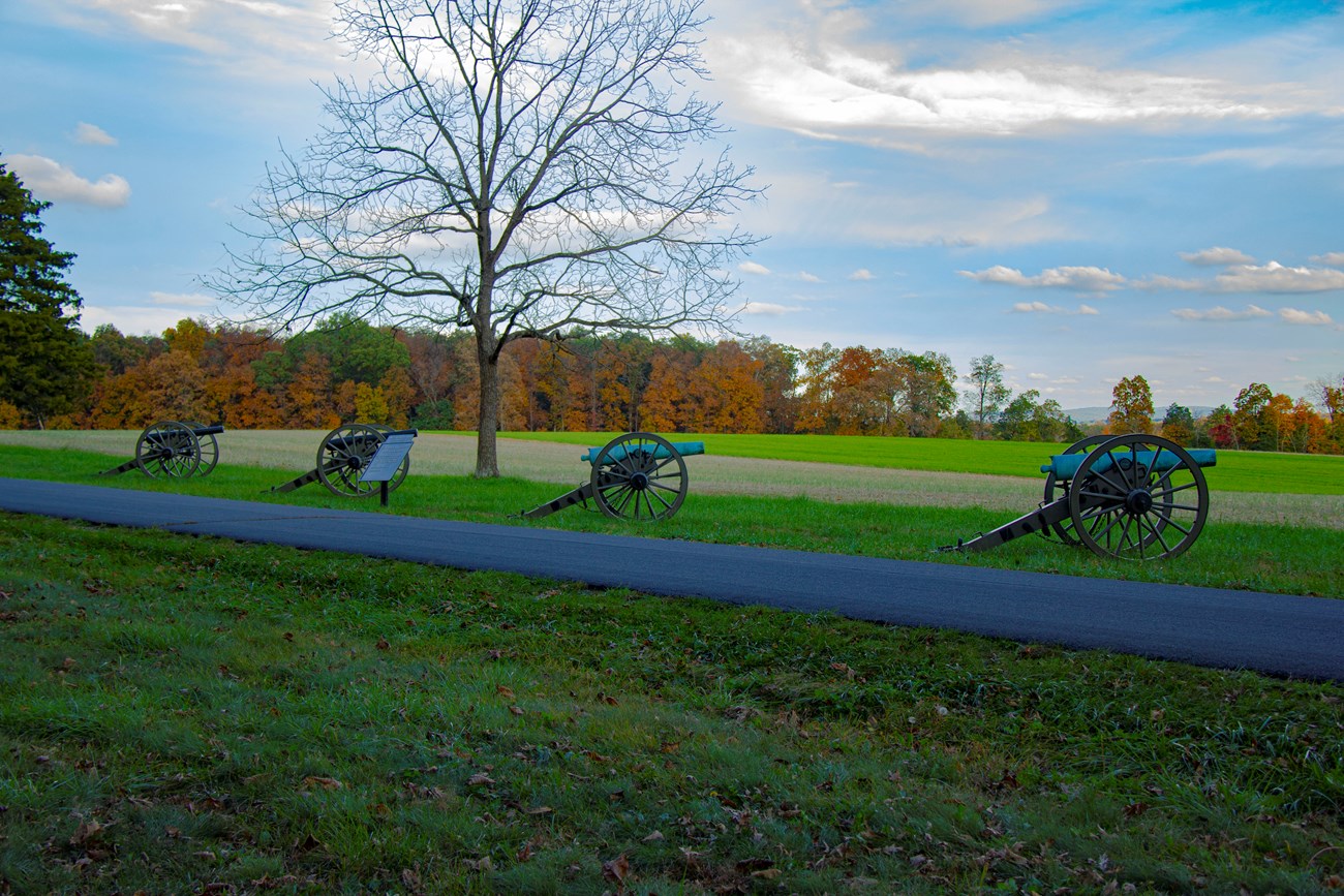 A row of artilllery pieces on a rideg