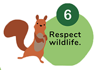 A small green circle with a number 6, a larger green cricle says "Respect Wildlife". A small cartoon squirrel sits next