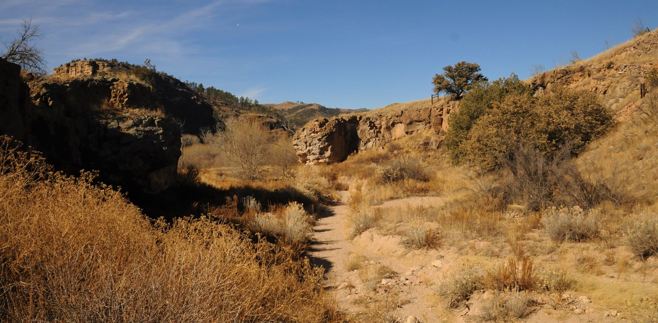 Brown grasses and shrubs line a dry sandy wash with rocky cliffs in the backdrop.