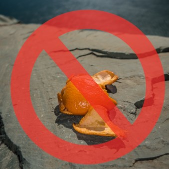 Littered orange peels on a rock with a red don't symbol over them.