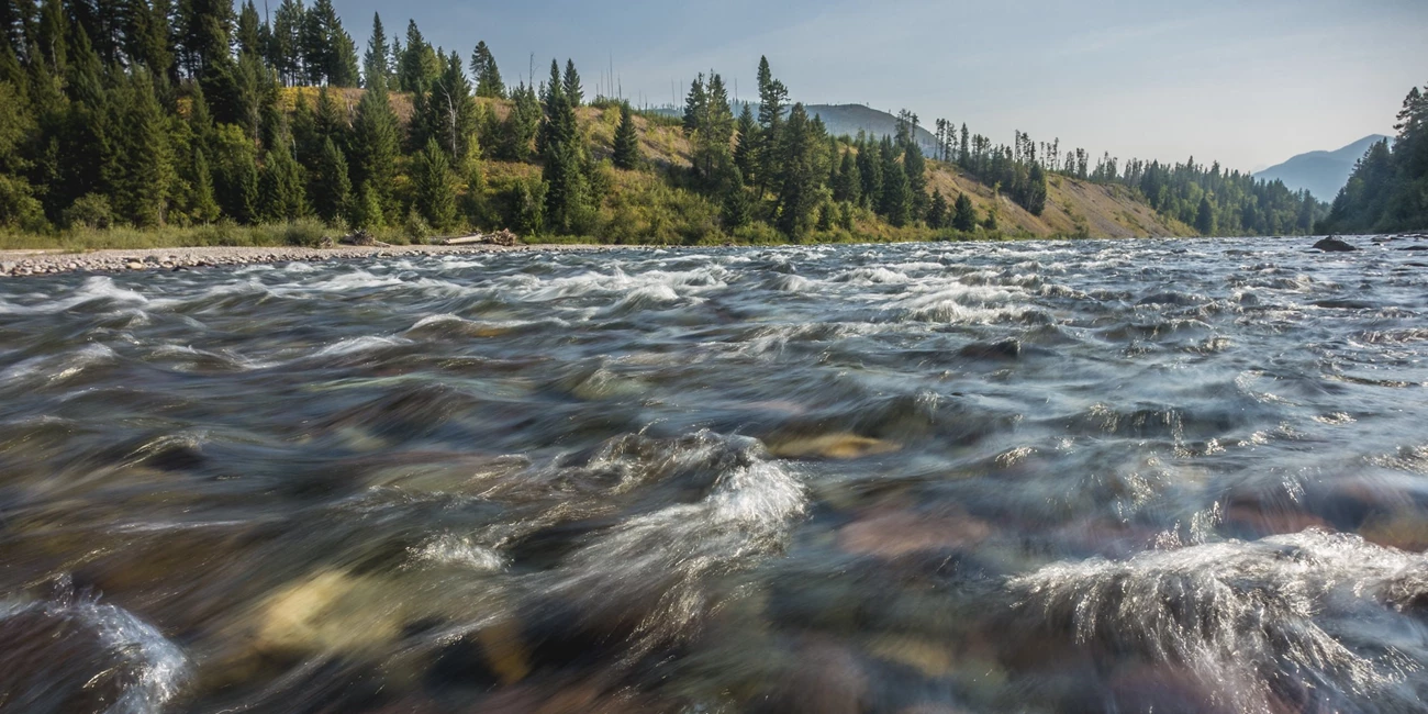 River Camp Banner A river rushes in front of hills and trees.