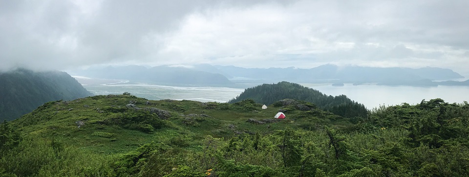 Tent camp Table Mountain view of Taylor Bay 