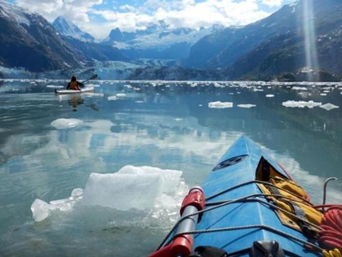Kayakers paddle around ice in Johns Hopkins Inlet
