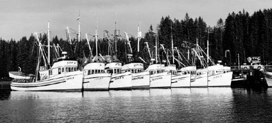 History of Commercial Fishing in Glacier Bay - Glacier Bay 