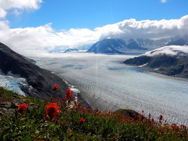 View of a glacier from a mountain side. The glacier extends far into the distance.