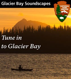 Tune-In to Glacier Bay and listen to our soundscape files