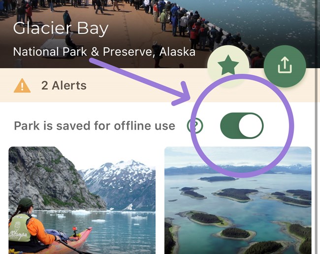 screenshot of nps app glacier bay page, arrow points to a download option.