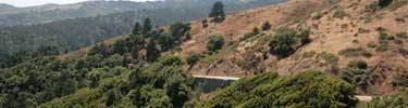 Dipsea-Banner-1.jpg Dipsea-Banner-1