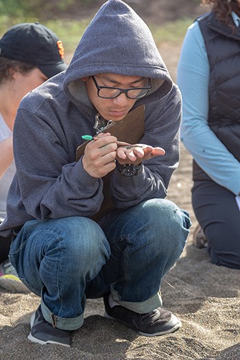 San Francisco State University student investigating the rainbow-colored sands of Rodeo Beach in the Marin Headlands