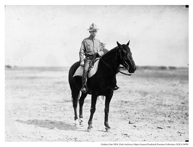 Officer On Horse