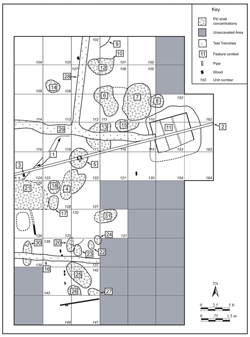 archaeology grid system