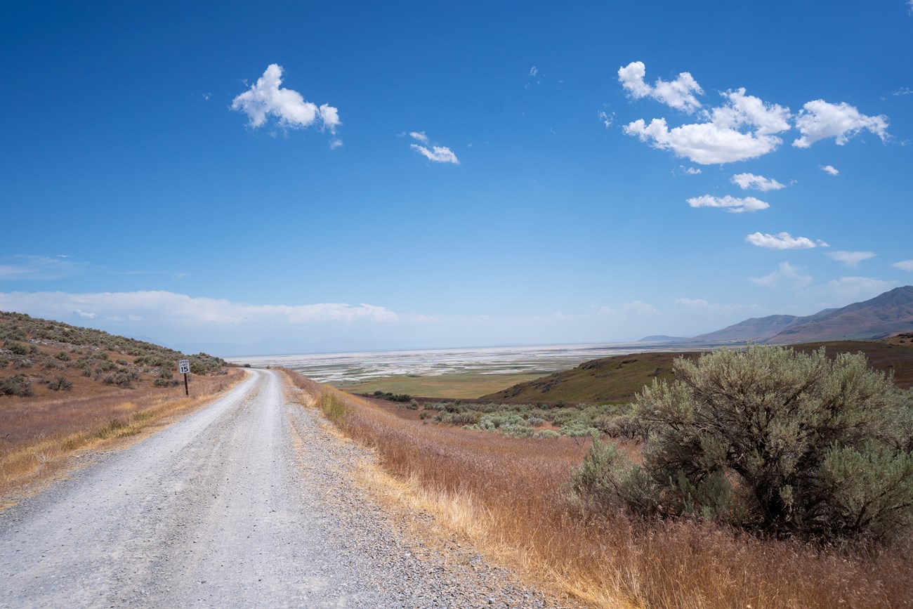 Road, Landscape