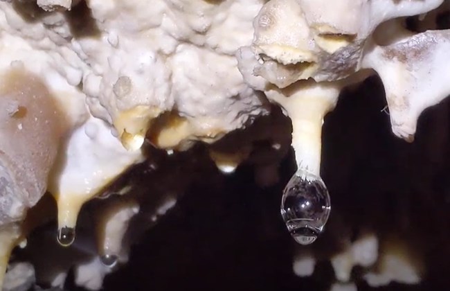 Small soda straw formations in a cave, one with a regular drip and one with a bubble at the end of it.