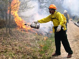 prescribedFire1.jpg?maxwidth\u003d650\u0026autorotate\u003dfalse