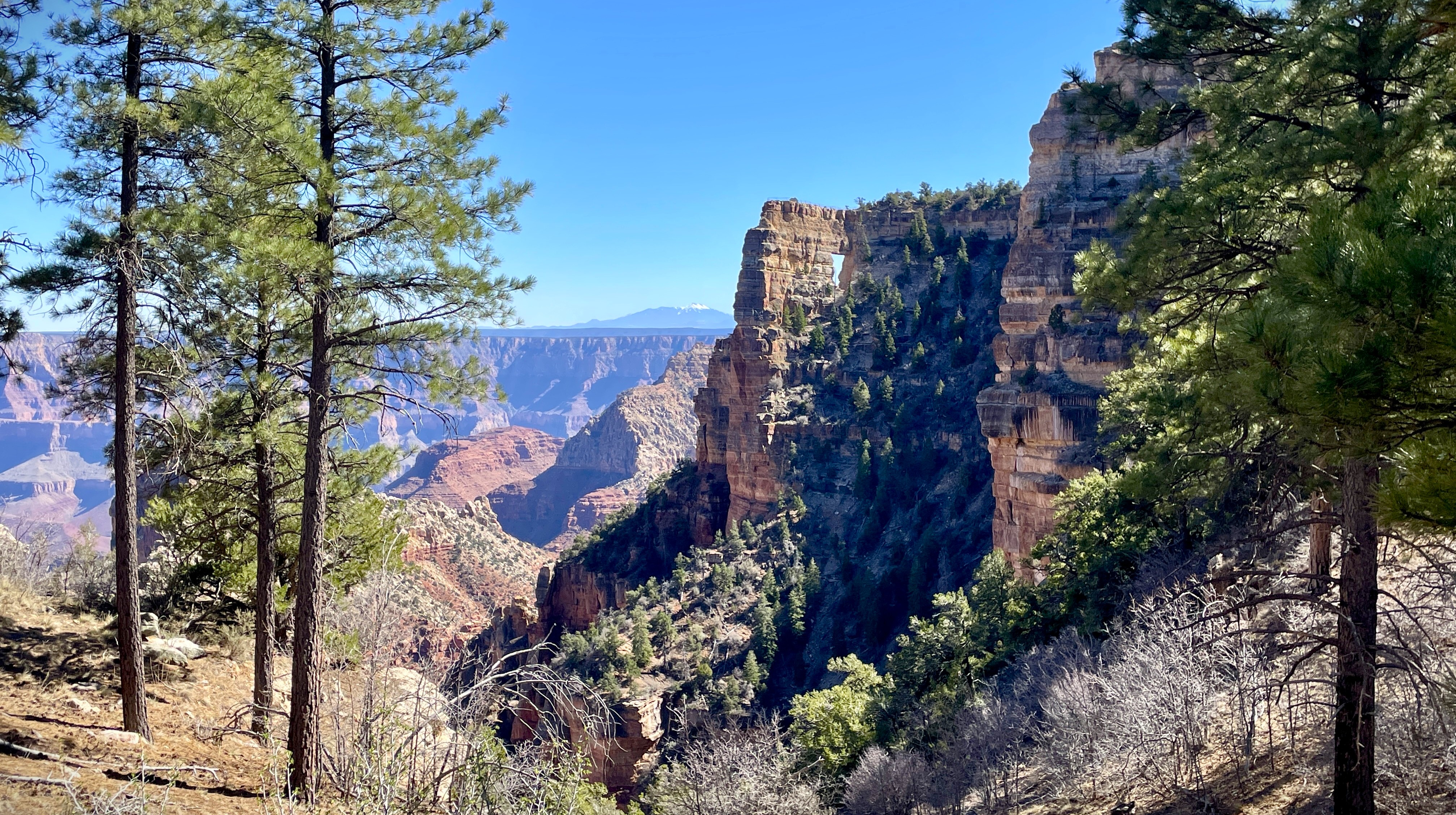 View of a steep cliffside with a hole in the middle and a mountain and trees in the background