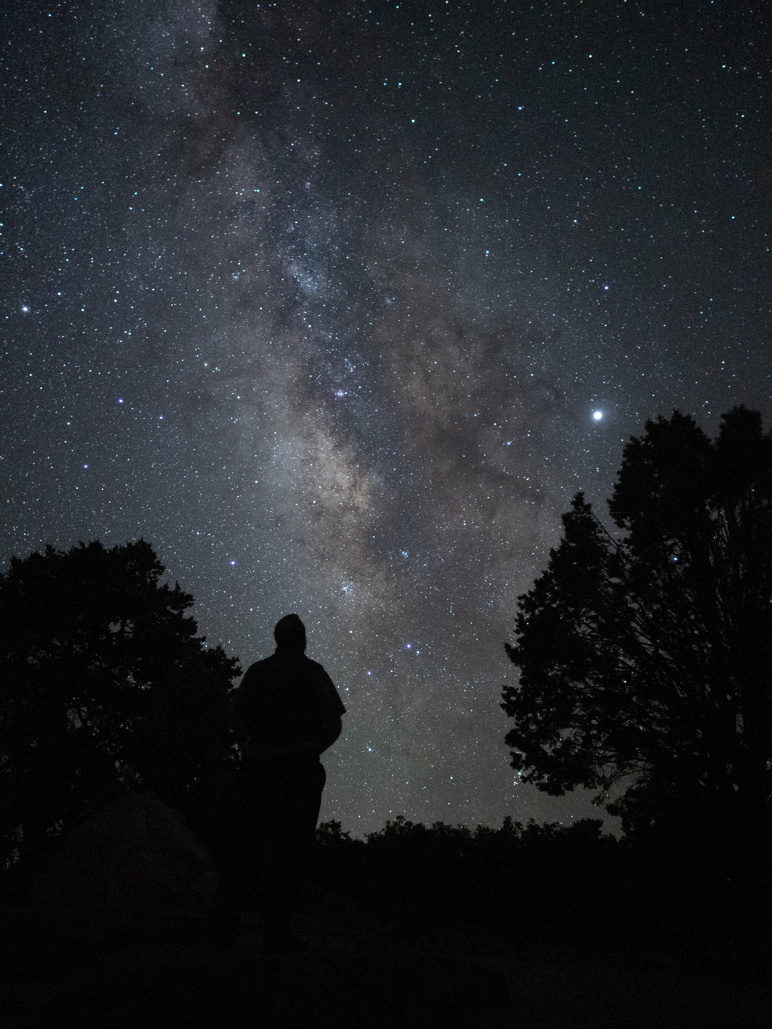 Lauren Camp - Grand Canyon National Park (U.S. National Park Service)