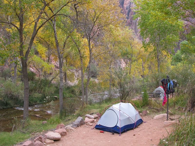 A tent at an inner canyon campsite with cottonwood trees turning yellow all around