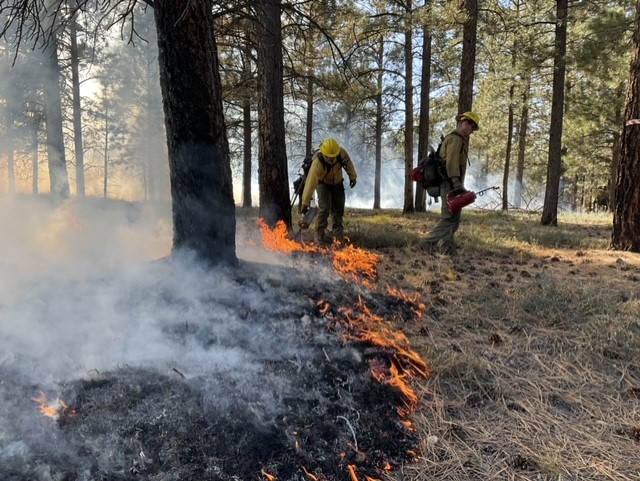 Wildland firefighters assist with burn ignitions on the Atoko Point Fire on the North Rim