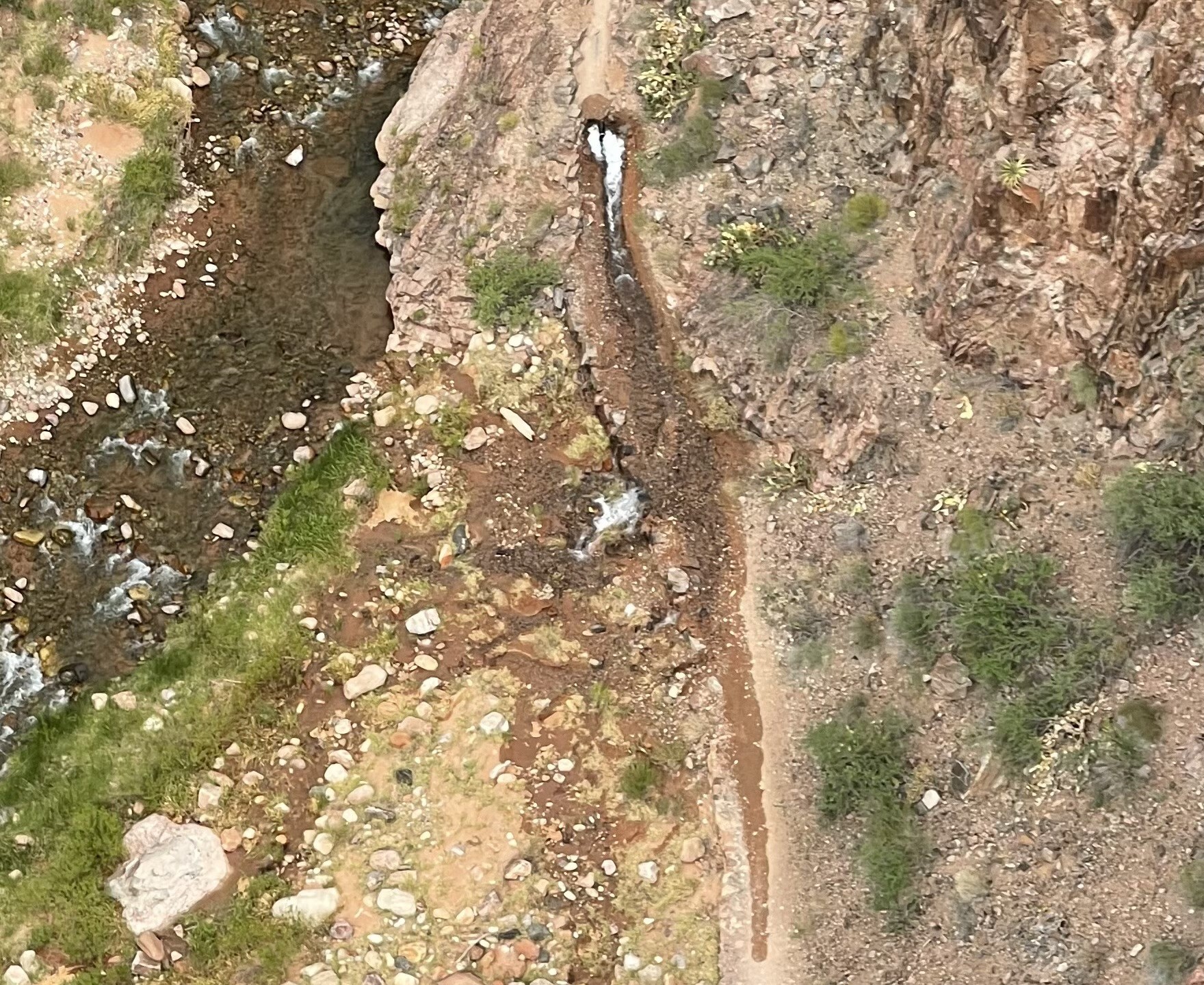 A photo showing a portion of the North Kaibab Trail with obvious water breaks