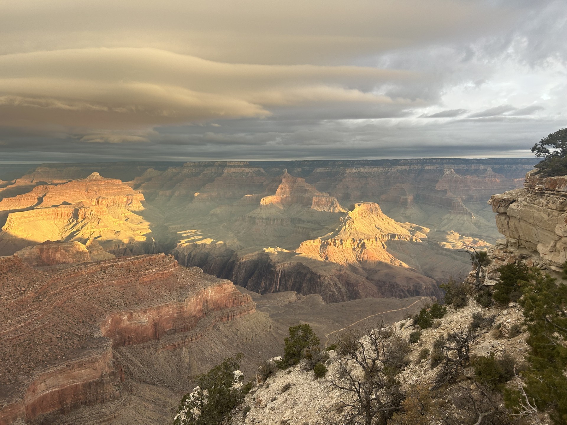 Sunrise on Nov. 26 from the South Rim A canyon landscape is bathed in warm hues of pinks and browns during sunrise. Several lenticular clouds hover above the canyon rim.