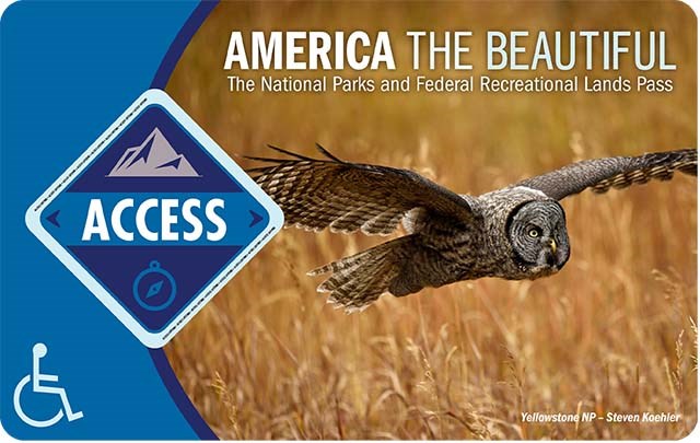 America the Beautiful Access Pass depicts an owl flying over a field of grain, the words "access" are in a blue diamond on the left.