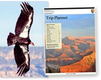 CA condor photo (courtesy of Steve Mull) and cover of Grand Canyon Trip Planner newspaper.