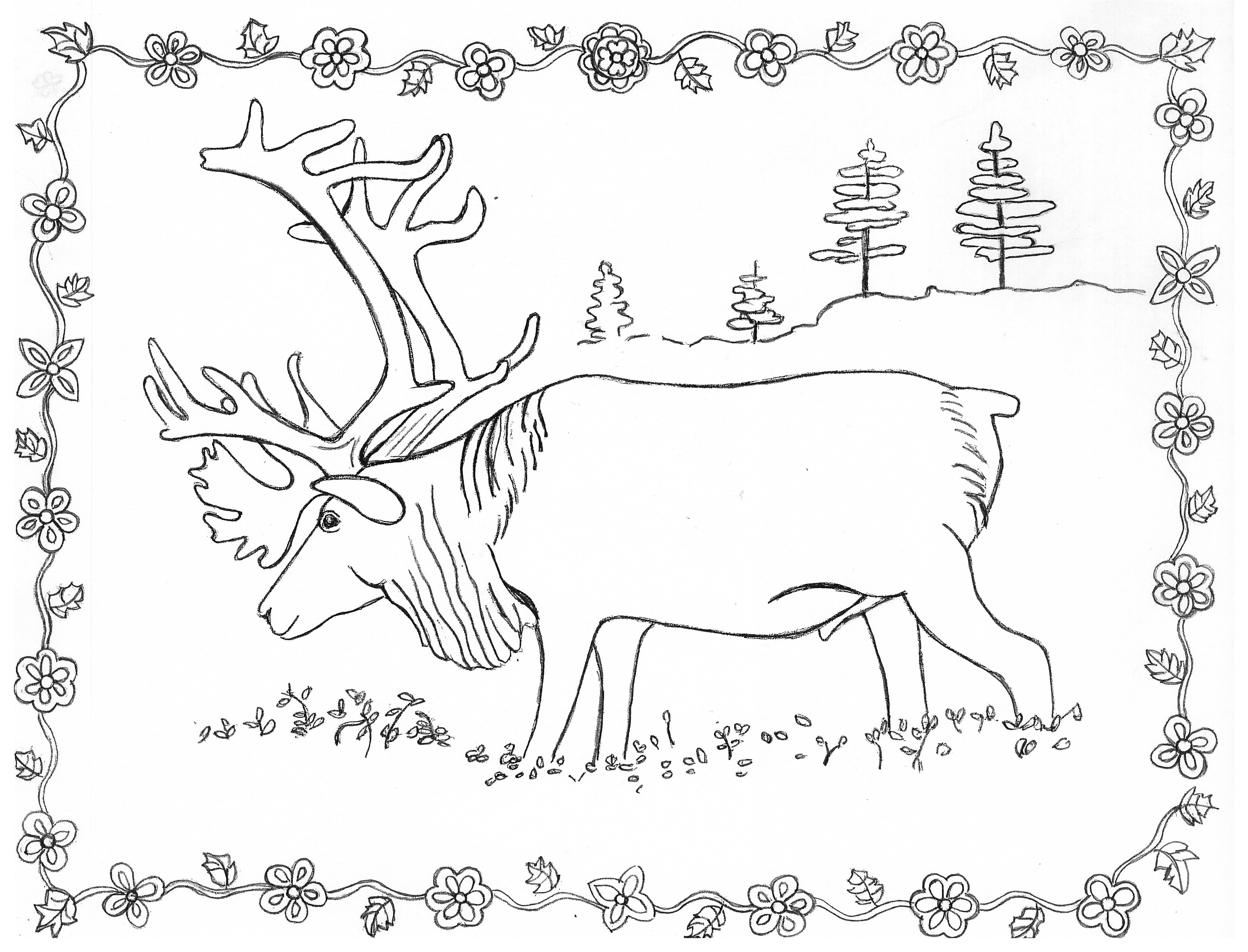 forest habitat coloring pages