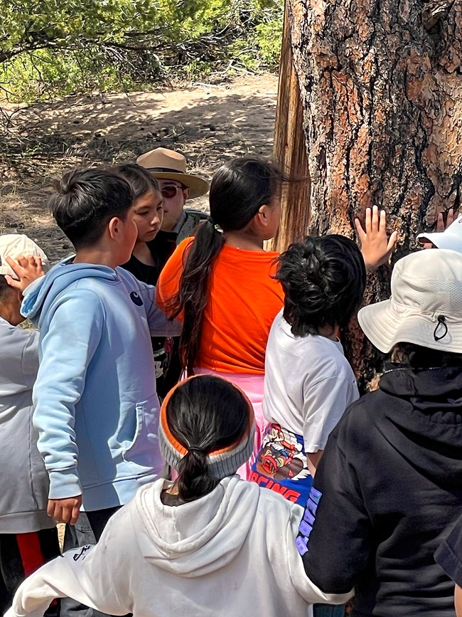 Jicarilla Apache 4th Grade Students gather to touch a 500-year-old ponderosa pine that was peeled on one side for food and medicine by regional tribes in the 19th century.