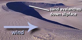Barchan Sand Dunes