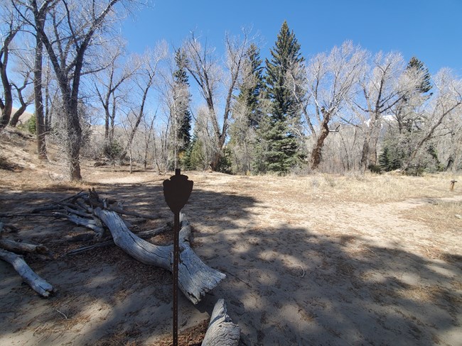 Indian Grove Backcountry Camp Site