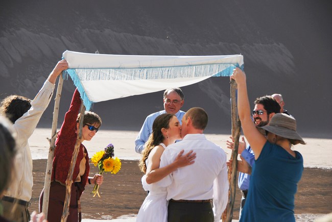 A wedding party is near the dunes, where the bride and groom kiss under a canopy