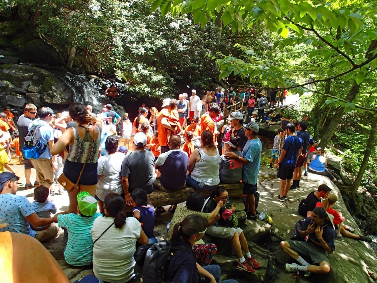 Visitor Experience Stewardship - Great Smoky Mountains National Park (U.S. National Park Service)