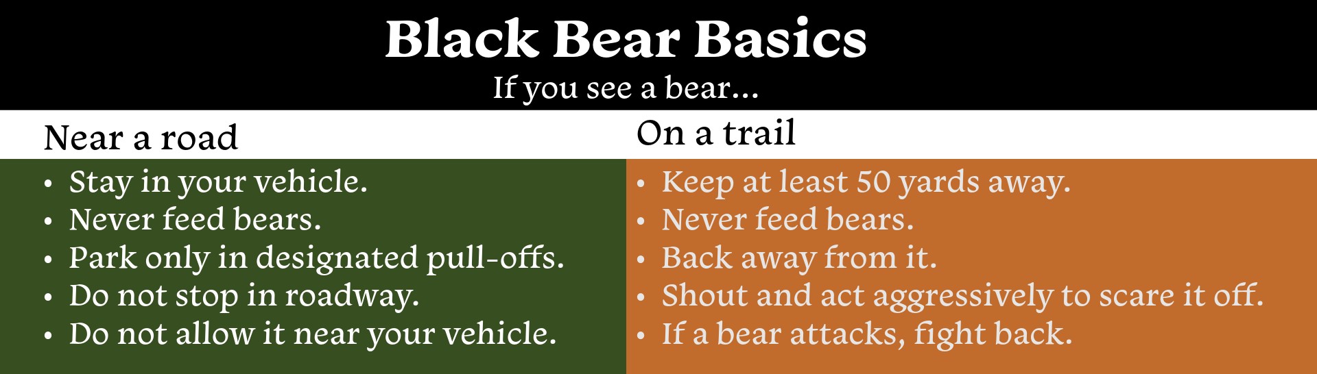 Graphic: Black Bear Basics, If you see a bear...Near a road: Stay in your vehicle. Never feed bears. Park only in designated pull-offs. Do not stop in roadway. Do not allow it near your vehicle. On a trail: Keep at least 50 yards away. Never feed bear...