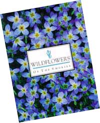 Common Spring Wildflowers in the Smokies - Great Smoky Mountains ...