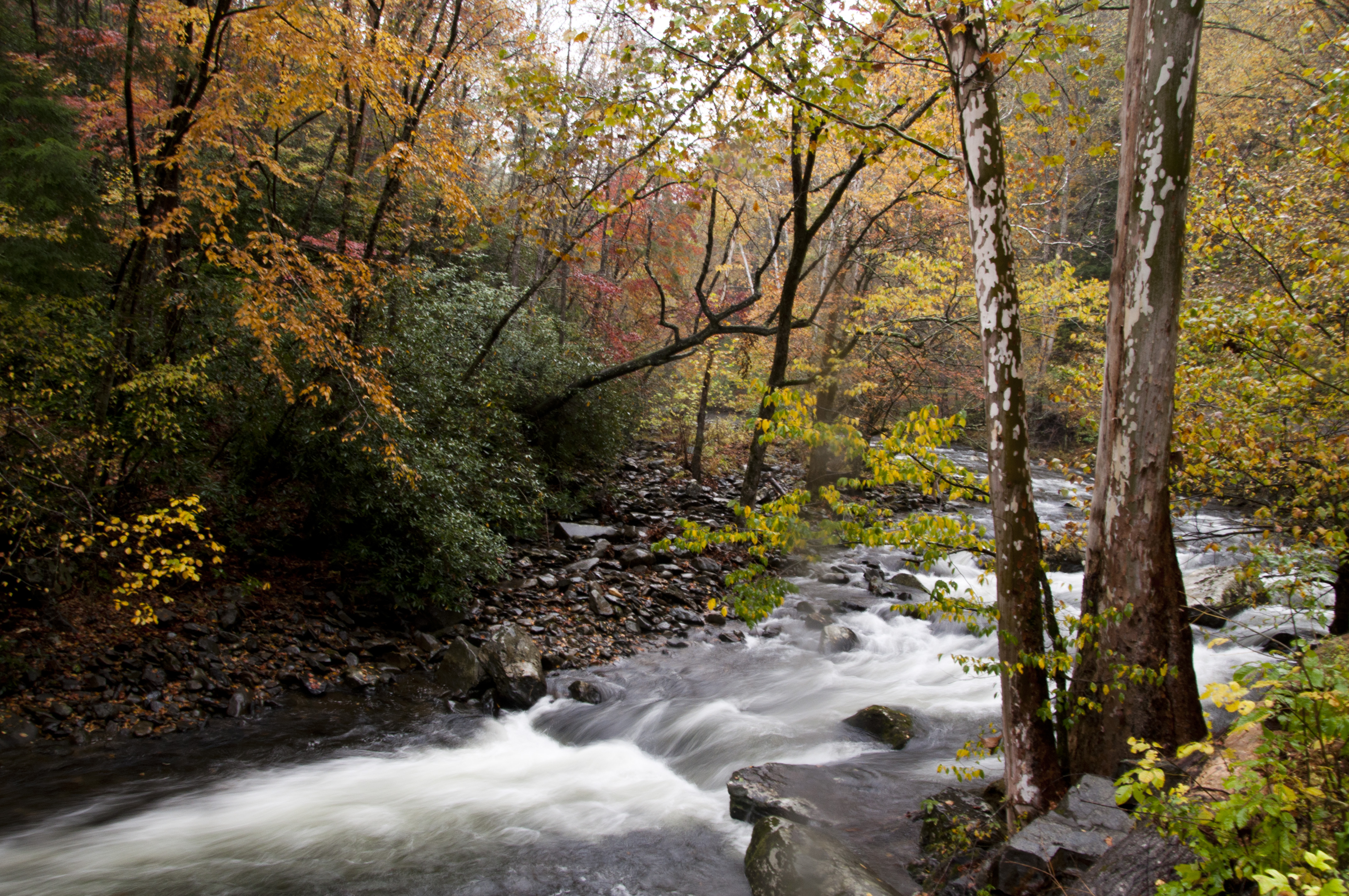 A rocky, mountain stream flowing through a forest with orange, red, and yellow leaves on trees.