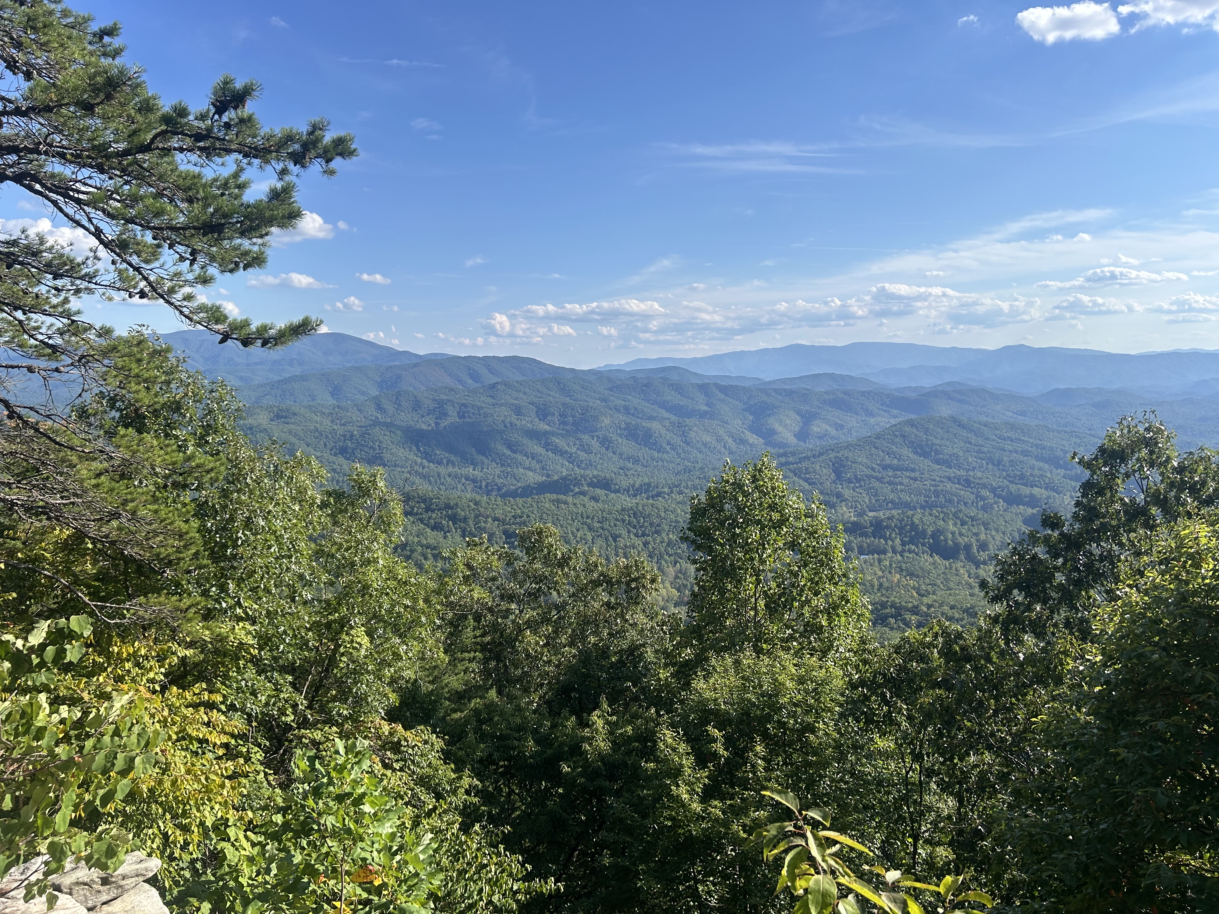 View of Great Smoky Mountains National Park showing green trees in the forefront and green covered mountains in the background under blue skies. Smoke is not visible in the area of the Flint Gap Fire.