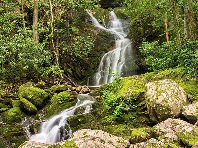 A waterfall tumbles over moss-covered rocks in a forest