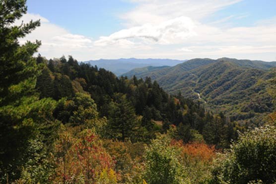 Fall color from Newfound Gap parking area, Oct 3, 2011