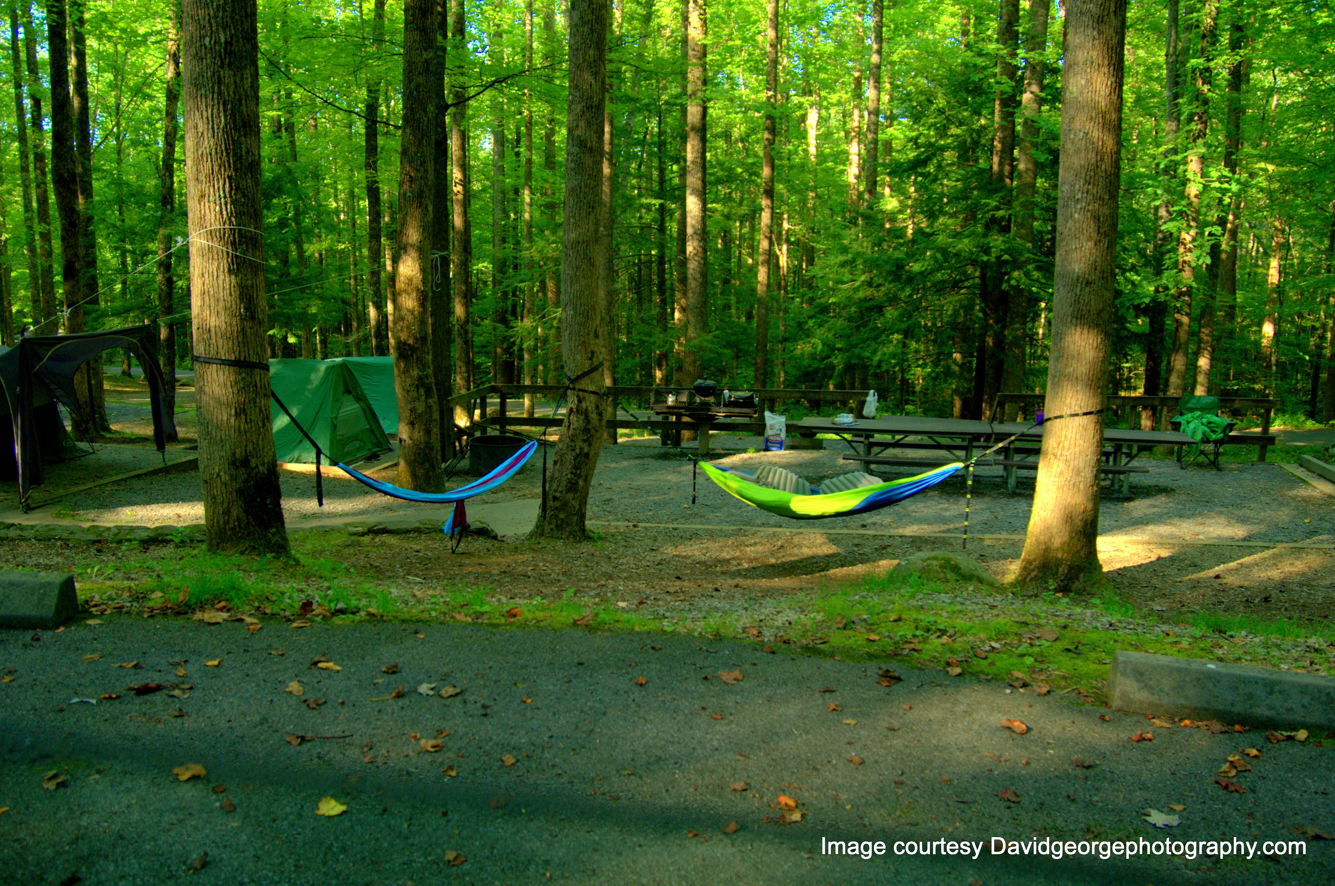 Featured image of post Best Camping Spots Great Smoky Mountains - Why stay in a hotel when you can sleep under the stars and the magnificent trees inside the park?