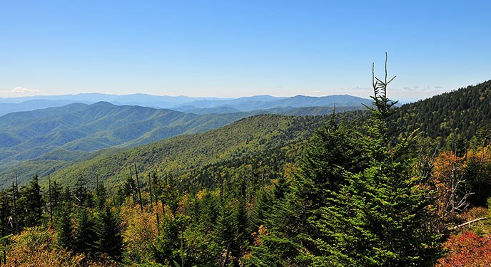 Basic Information Great Smoky Mountains National Park U S National Park Service