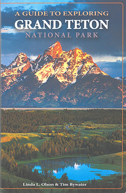 National park service logo