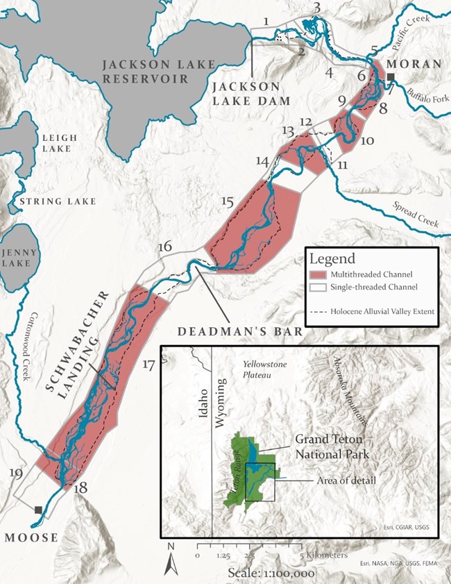 Map of the Snake River, divided into 19 segments between Jackson Lake Dam and Moose. Channels within each segment are designated single-threaded or multi-threaded. The majority of the river is multi-threaded.