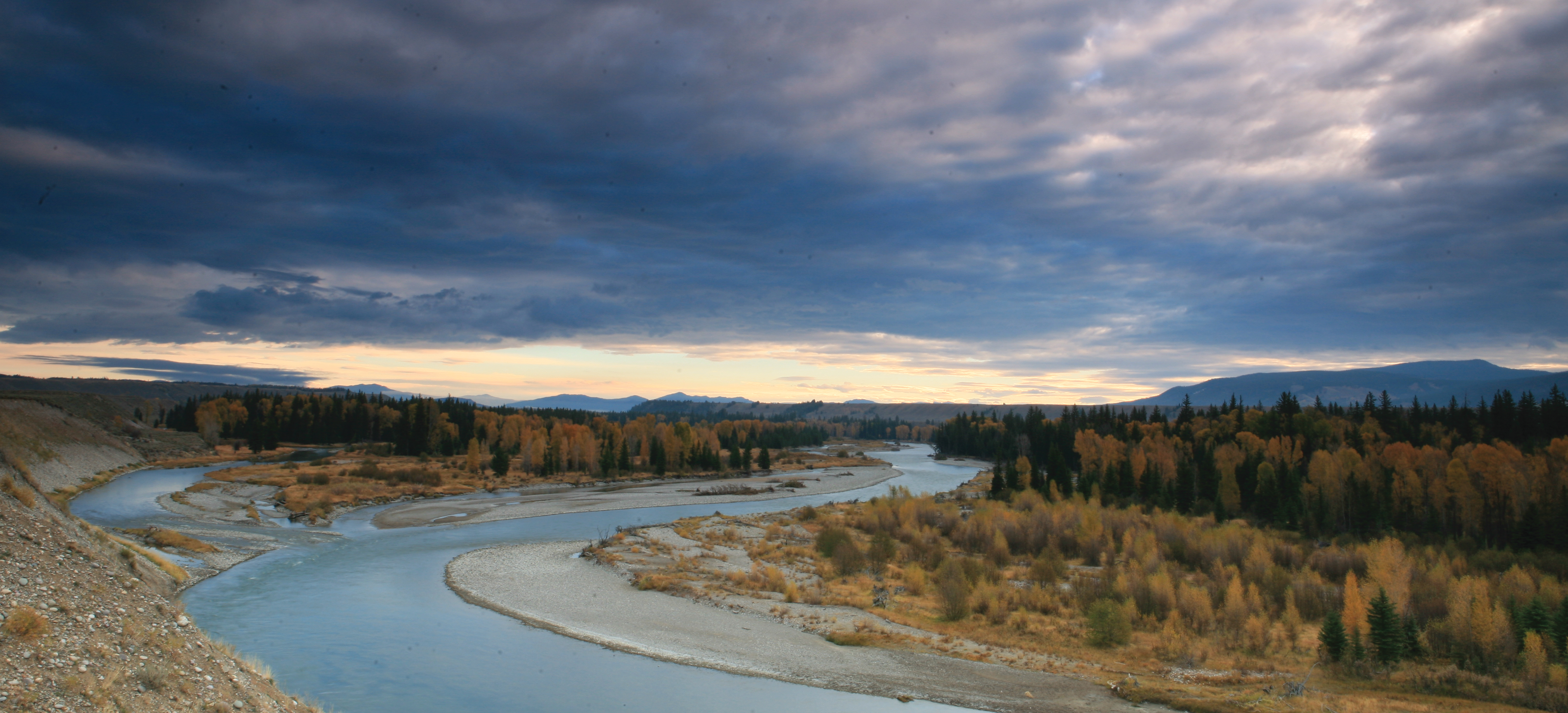 The Snake River on an overcast day in fall. The braided channels weave around gravel bars and the forested riverbank.