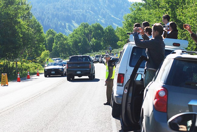 Vehicles parked in a line on a road shoulder, while traffic continues in the travel lanes. The crowd takes photos from inside their cars.