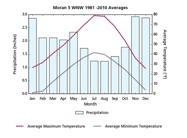 Figure 5. Bar graph of monthly precipitation 30-year averages compared to average temperatures, Moran Junction, WY (1981–2010). November–January has the greatest precipitation while July–August had the least.