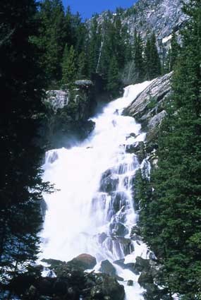 Jenny Lake District Trails - Grand Teton National Park (U ... - 285 x 425 jpeg 36kB