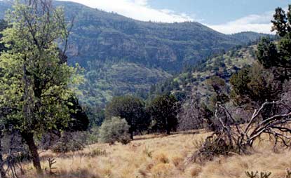 Dog Canyon - Guadalupe Mountains National Park U.S 