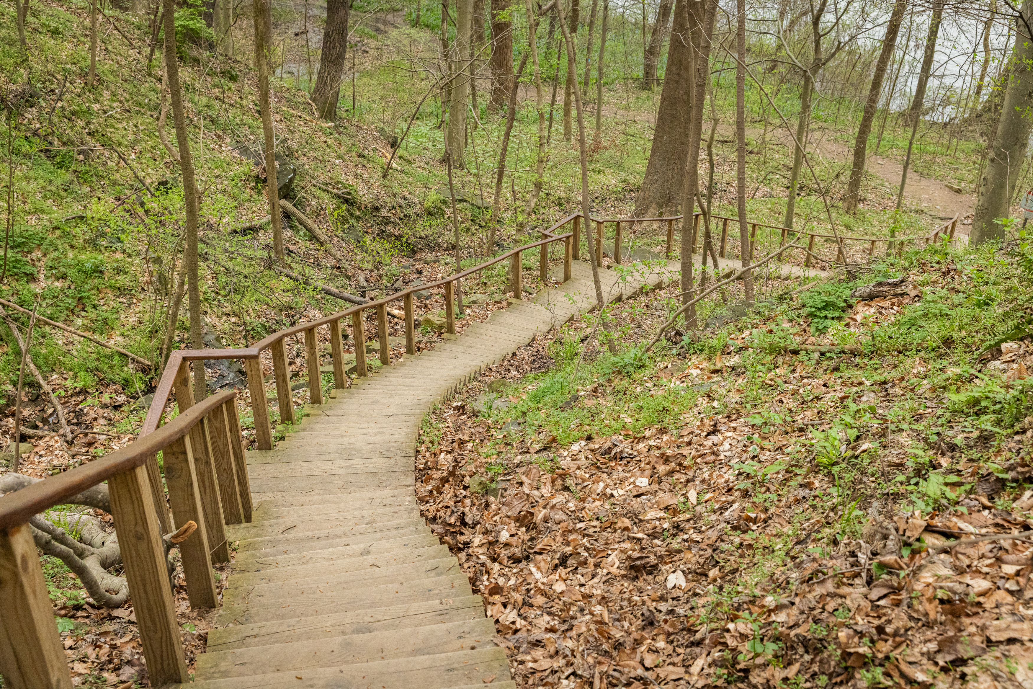 Turkey Run Park