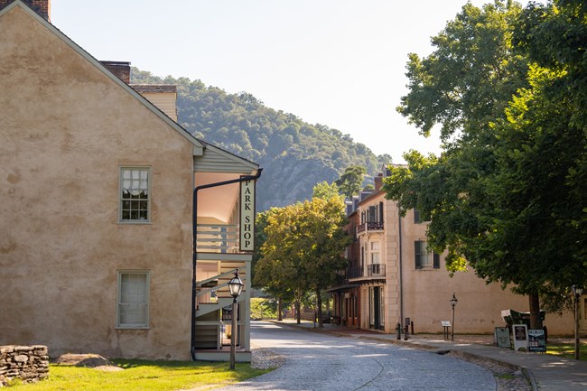 A street lined with trees and old stone buildings.