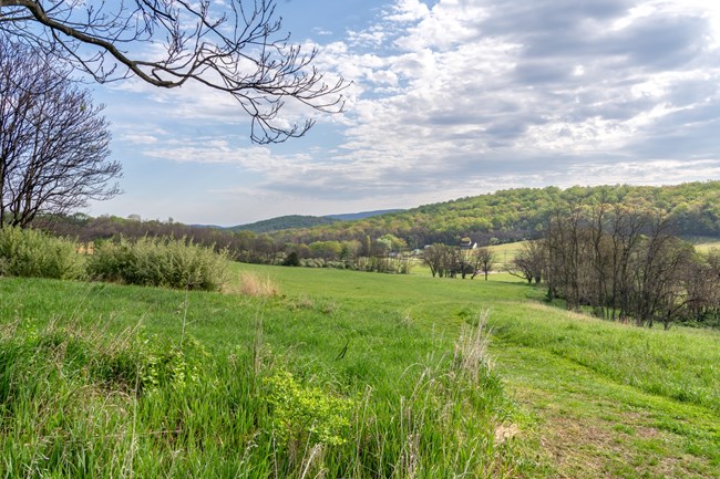 A view of a trail leading through a green field with distant hills.
